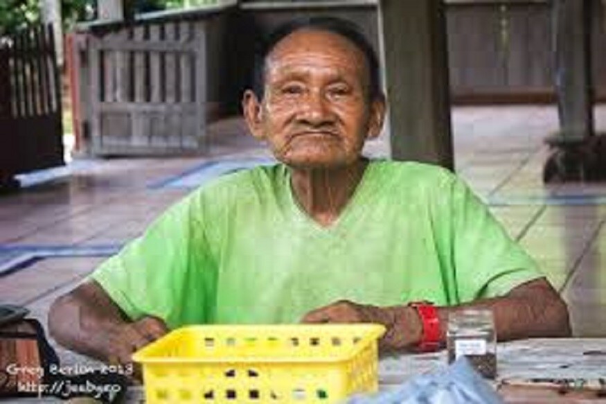 এই উপজাতির সভাপতি জাস্টিনো পিয়াগুয়াজের অভিযোগ, তাঁরা স্থানীয় শহরে প্রশাসনকে জানিয়েছিলেন এপ্রিলের মাঝামাঝি সময়ে৷ কিন্তু প্রশাসন তাঁদের কথায় কান দেয়নি৷ কয়েকজন ডাক্তার বলেছিলেন, এমনি সিজনাল ফ্লু৷ করোনা নয়৷ এই উপজাতির সভাপতি জাস্টিনো পিয়াগুয়াজের অভিযোগ, তাঁরা স্থানীয় শহরে প্রশাসনকে জানিয়েছিলেন এপ্রিলের মাঝামাঝি সময়ে৷ কিন্তু প্রশাসন তাঁদের কথায় কান দেয়নি৷ কয়েকজন ডাক্তার বলেছিলেন, এমনি সিজনাল ফ্লু৷ করোনা নয়৷
