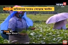 আঁধারের ছায়া চা শিল্পেও, লকডাউনে তোলা যায়নি মরসুমের প্রথম চা পাতা ও কুঁড়ি আঁধারের ছায়া চা শিল্পেও, লকডাউনে তোলা যায়নি মরসুমের প্রথম চা পাতা ও কুঁড়ি