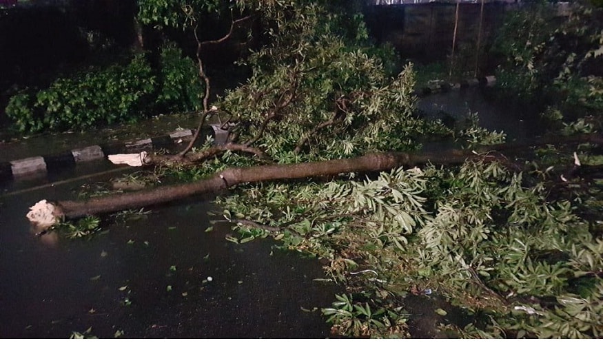 বুধবারের সাইক্লোনে রীতিমত বিপর্যস্ত পশ্চিমবঙ্গ৷ বাংলায় বিপুল ক্ষতি হয়েছে বলে জানিয়েছেন মুখ্যমন্ত্রী৷ আর এই ক্ষতির পরিমাণ সামনে আসতে ২ থেকে ৩দিন লেগে যাবে বলে তিনি জানিয়েছেন৷ বুধবারের সাইক্লোনে রীতিমত বিপর্যস্ত পশ্চিমবঙ্গ৷ বাংলায় বিপুল ক্ষতি হয়েছে বলে জানিয়েছেন মুখ্যমন্ত্রী৷ আর এই ক্ষতির পরিমাণ সামনে আসতে ২ থেকে ৩দিন লেগে যাবে বলে তিনি জানিয়েছেন৷