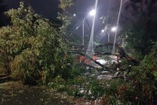 আমফানের তাণ্ডবে একাধিক জায়গায় গাছ পড়ে স্তব্ধ বাসন্তী হাইওয়ে, লম্বা গাড়ির লাইন