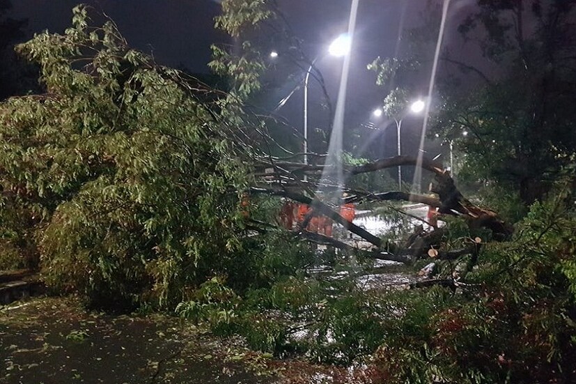 পূর্বাভাস মতোই ধেয়ে এল আমফান। তারপর তুমুল তাণ্ডব। কাড়ল প্রাণ। রাজ্য জুড়ে ব্যাপক ক্ষয়ক্ষতি। কলকাতার সর্বত্র ধ্বংসের চিহ্ন ছড়িয়ে।