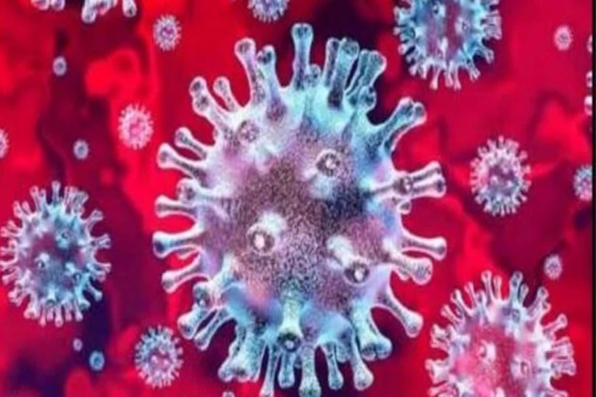 কন্টেইনমেন্ট জোনে নজরদারি, চারজন করে চিকিৎসক নিয়ে বিশেষ দল রাজ্যের