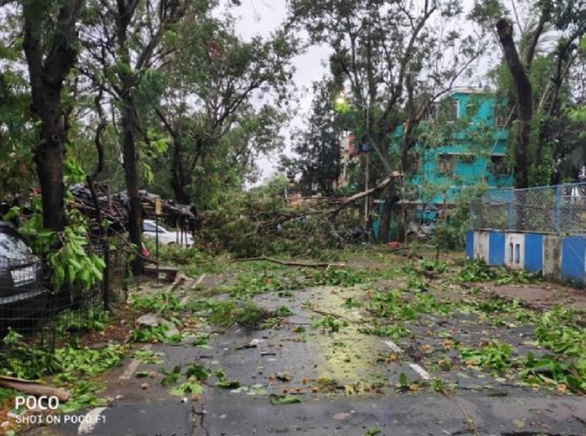 রাতের বেলা টের পেয়েছিলেন সকলে যে কতটা ভয়ঙ্কর হয়েছে ঝড়, সকালে উঠে দেখতে পেলেন ধ্বংসলীলা৷ 