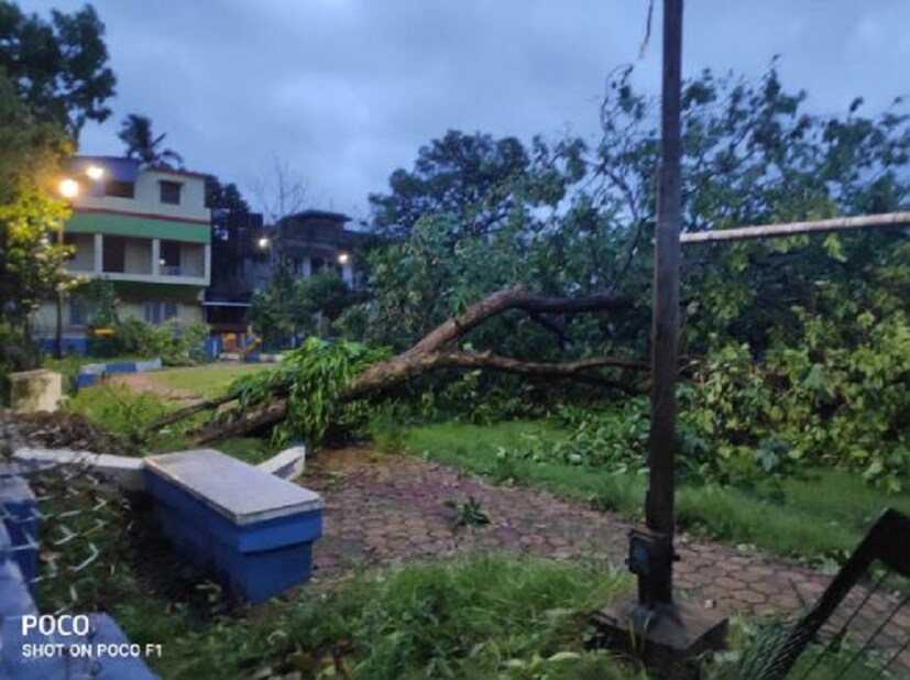 সল্টলেকে মাঠের মধ্যে এভাবে উপড়ে পড়েছে গাছ৷ 