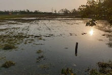 আয়লার ধাক্কা সামলে শুরু চাষ, আমফানে নোনাজলের তলায় সব, মাথায় হাত হিঙ্গলগঞ্জের