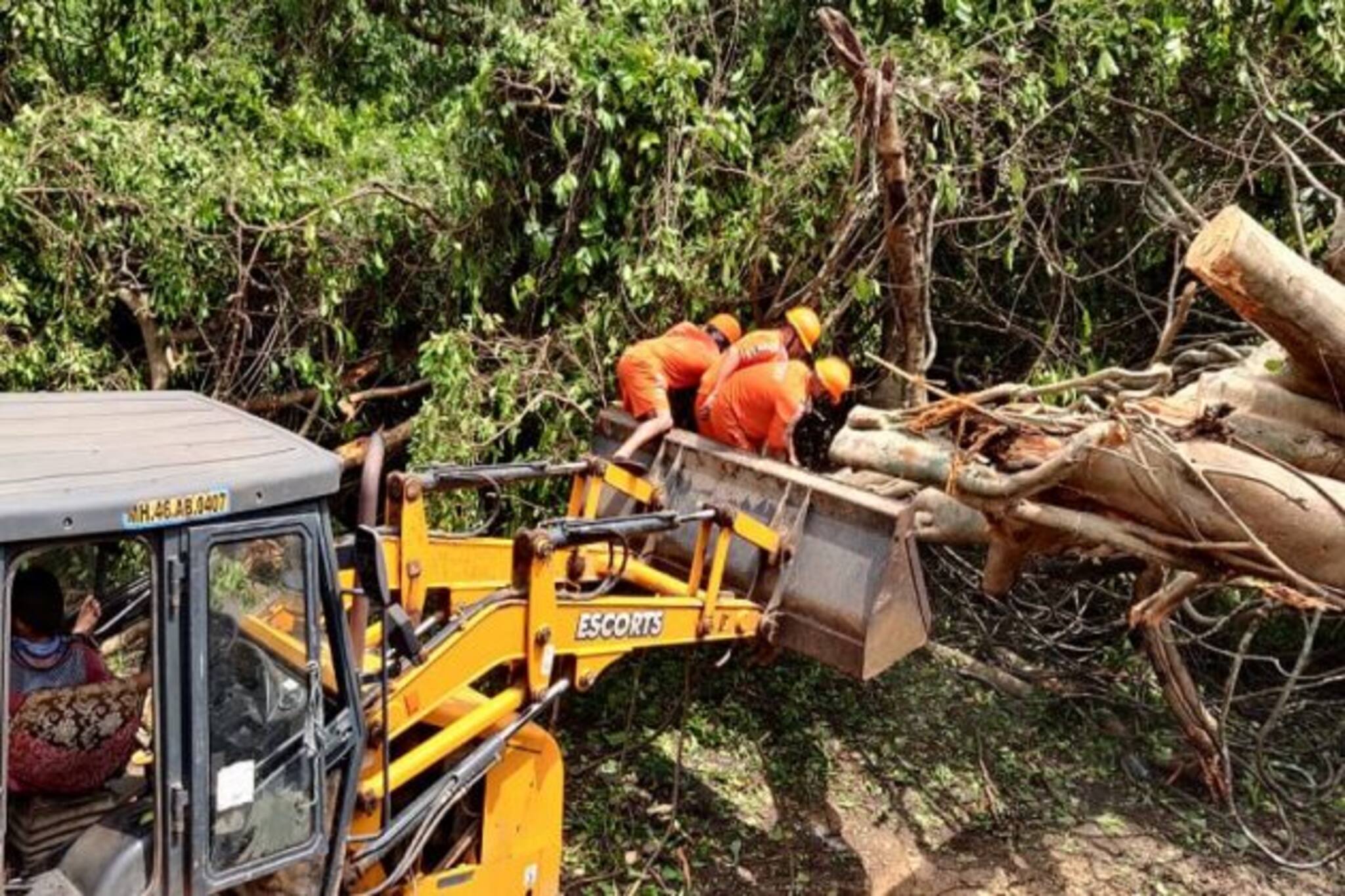 ‘‌নিসর্গ’‌ চলে গিয়েছে, এখন ত্রাণ পৌঁছতে আর জীবন স্বাভাবিক করতে লড়ছে NDRF
