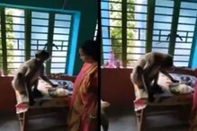 Viral: টেবিলে বসে হনুমান, নিজের হাতে ডাল-ভাত খাইয়ে দিলেন বীরভূমের মহিলা ! Viral: টেবিলে বসে হনুমান, নিজের হাতে ডাল-ভাত খাইয়ে দিলেন বীরভূমের মহিলা !