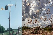 পঙ্গপাল তাড়াতে অত্যন্ত কম খরচে হাতেই এই যন্ত্র বানালেন চাষি! ভিডিও ভাইরাল