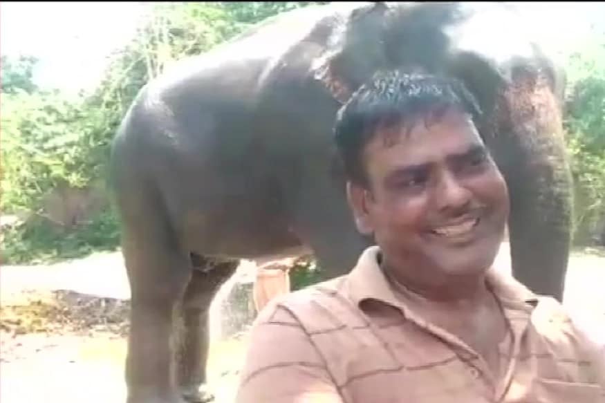 কেরলে হাতিকে নৃশংস অত্যাচারের ছবিটা বারবার উঠে এসেছে সংবাদমাধ্যমে। হতবাক হয়ে গিয়েছেন বণ্যপ্রাণপ্রেমীরা। কিন্তু সকলেই কি এমন নিষ্ঠুর! ব্যতিক্রমও তো আছে! প্রমাণ করলেন বিহারের এক ব্যক্তি। ছবি-ANI কেরলে হাতিকে নৃশংস অত্যাচারের ছবিটা বারবার উঠে এসেছে সংবাদমাধ্যমে। হতবাক হয়ে গিয়েছেন বণ্যপ্রাণপ্রেমীরা। কিন্তু সকলেই কি এমন নিষ্ঠুর! ব্যতিক্রমও তো আছে! প্রমাণ করলেন বিহারের এক ব্যক্তি। ছবি-ANI
