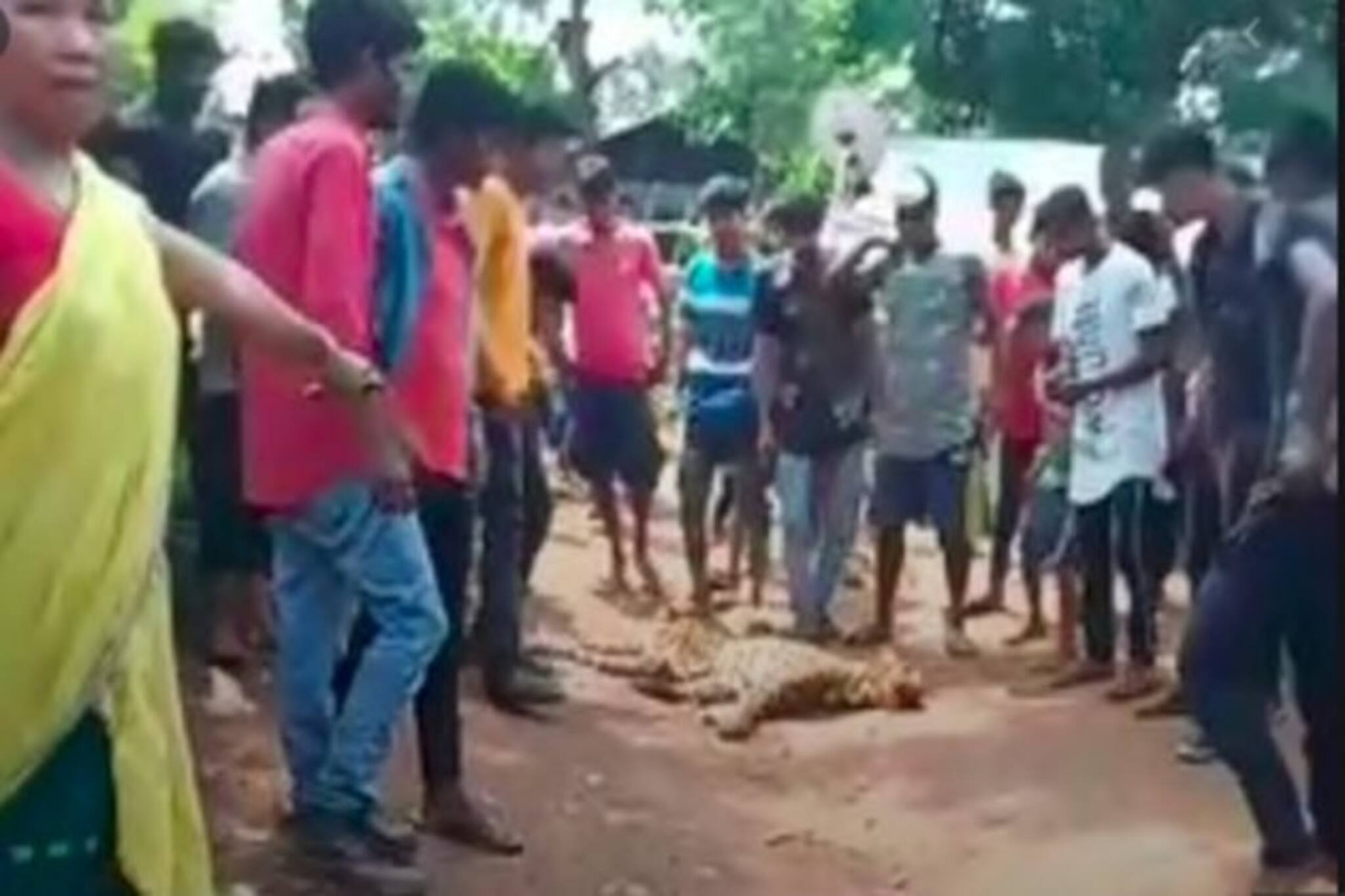 ফাঁদে পেতে চিতাবাঘ পাকড়াও, পিটিয়ে মেরে দেহাংশ টুকরো টুকরো করল গ্রামবাসীরা