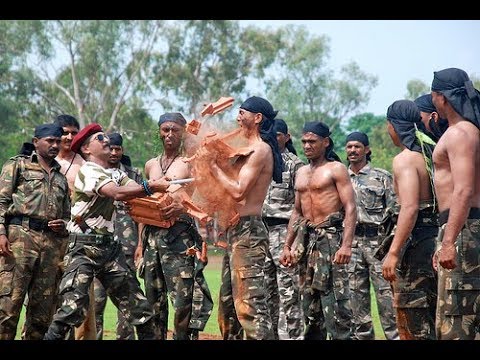 ঘাতক কমান্ডোদের ৪৩ দিনের বিশেষ প্রশিক্ষণ নিতে হয় কর্ণাটকের বেলগাঁওতে। শারীরিকভাবে সেরা জওয়ানদের এই প্রশিক্ষণ দেওয়া হয়। ৩৫ কেজি বোঝা নিয়ে ছুটতে হয় টানা ৪০কিমি। বিভিন্ন অস্ত্র চালানোর পাশাপাশি খালি হাতে লড়াইয়ের জন্য দিন সাতেকের বিশেষ প্রশিক্ষণ দেওয়া হয় ঘাতক কমান্ডোদের। তার মধ্যে থাকে মার্শাল আর্টের প্রশিক্ষণও। Representative Image ঘাতক কমান্ডোদের ৪৩ দিনের বিশেষ প্রশিক্ষণ নিতে হয় কর্ণাটকের বেলগাঁওতে। শারীরিকভাবে সেরা জওয়ানদের এই প্রশিক্ষণ দেওয়া হয়। ৩৫ কেজি বোঝা নিয়ে ছুটতে হয় টানা ৪০কিমি। বিভিন্ন অস্ত্র চালানোর পাশাপাশি খালি হাতে লড়াইয়ের জন্য দিন সাতেকের বিশেষ প্রশিক্ষণ দেওয়া হয় ঘাতক কমান্ডোদের। তার মধ্যে থাকে মার্শাল আর্টের প্রশিক্ষণও। Representative Image