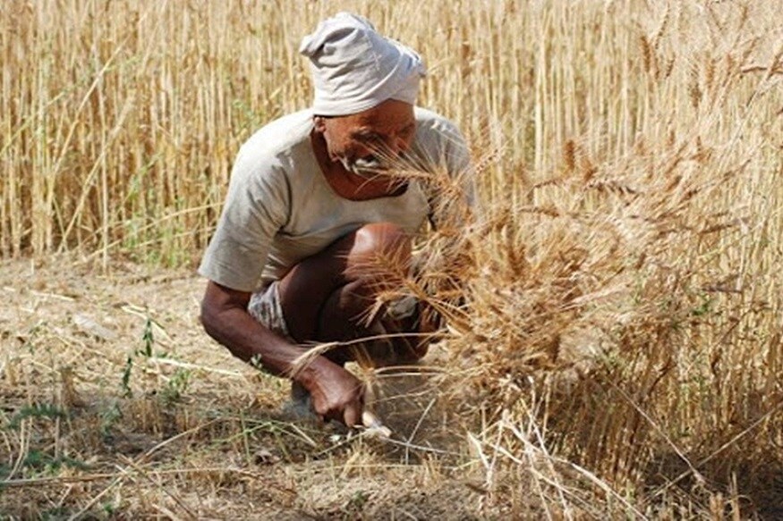 তবে যে সব কৃষক এই স্কিমের সুবিধা নিতে রাজি নন, তাঁদের স্কিমটি বন্ধ হওয়ার ৭ দিনের মধ্যে লিখিত আকারে সংশ্লিষ্ট ব্যাঙ্ককে জানাতে হবে৷ তবে যে সব কৃষক এই স্কিমের সুবিধা নিতে রাজি নন, তাঁদের স্কিমটি বন্ধ হওয়ার ৭ দিনের মধ্যে লিখিত আকারে সংশ্লিষ্ট ব্যাঙ্ককে জানাতে হবে৷