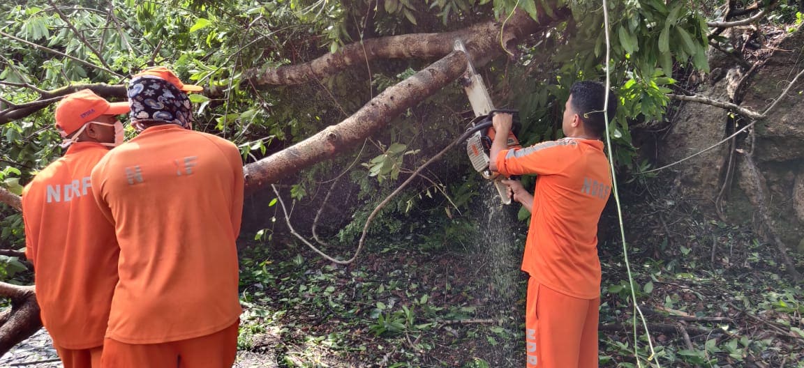 আবারও সেই বুধবার। আবারও এক ঘূর্ণিঝড়। ২০ মে আমফানের পর ৩ জুন নিসর্গ। আমফান তছনছ করেছে পশ্চিমবঙ্গকে। বুধবার দুপুর একটা নাগাদ, নিসর্গ আছড়ে পড়ে মহারাষ্ট্রের উপকূলীয় এলাকা আলিবাগে ৷ সাইক্লোনের গতিবেগ ছিল ঘণ্টায় ১২০ কিলোমিটার ৷ আবারও সেই বুধবার। আবারও এক ঘূর্ণিঝড়। ২০ মে আমফানের পর ৩ জুন নিসর্গ। আমফান তছনছ করেছে পশ্চিমবঙ্গকে। বুধবার দুপুর একটা নাগাদ, নিসর্গ আছড়ে পড়ে মহারাষ্ট্রের উপকূলীয় এলাকা আলিবাগে ৷ সাইক্লোনের গতিবেগ ছিল ঘণ্টায় ১২০ কিলোমিটার ৷