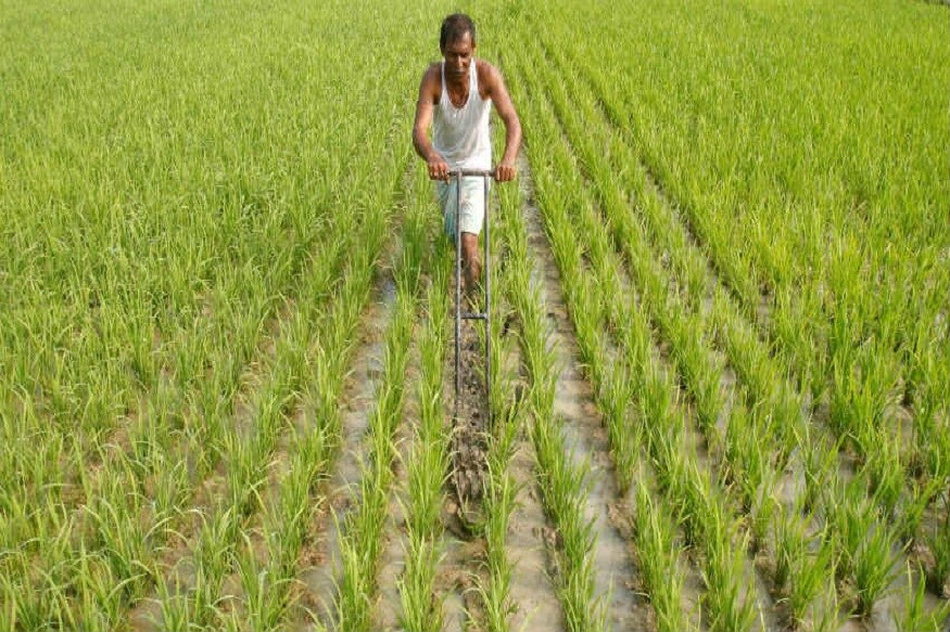 প্রধানমন্ত্রী ফসল বিমা যোজনায় কৃষককে আবেদন করতে হবে ১০ দিনের মধ্যে৷ শুধু মাত্র প্রাকৃতিক দুর্যোগে ফসল ক্ষতিগ্রস্থ হলেই বিমার সুবিধা মিলবে৷ প্রধানমন্ত্রী ফসল বিমা যোজনায় কৃষককে আবেদন করতে হবে ১০ দিনের মধ্যে৷ শুধু মাত্র প্রাকৃতিক দুর্যোগে ফসল ক্ষতিগ্রস্থ হলেই বিমার সুবিধা মিলবে৷