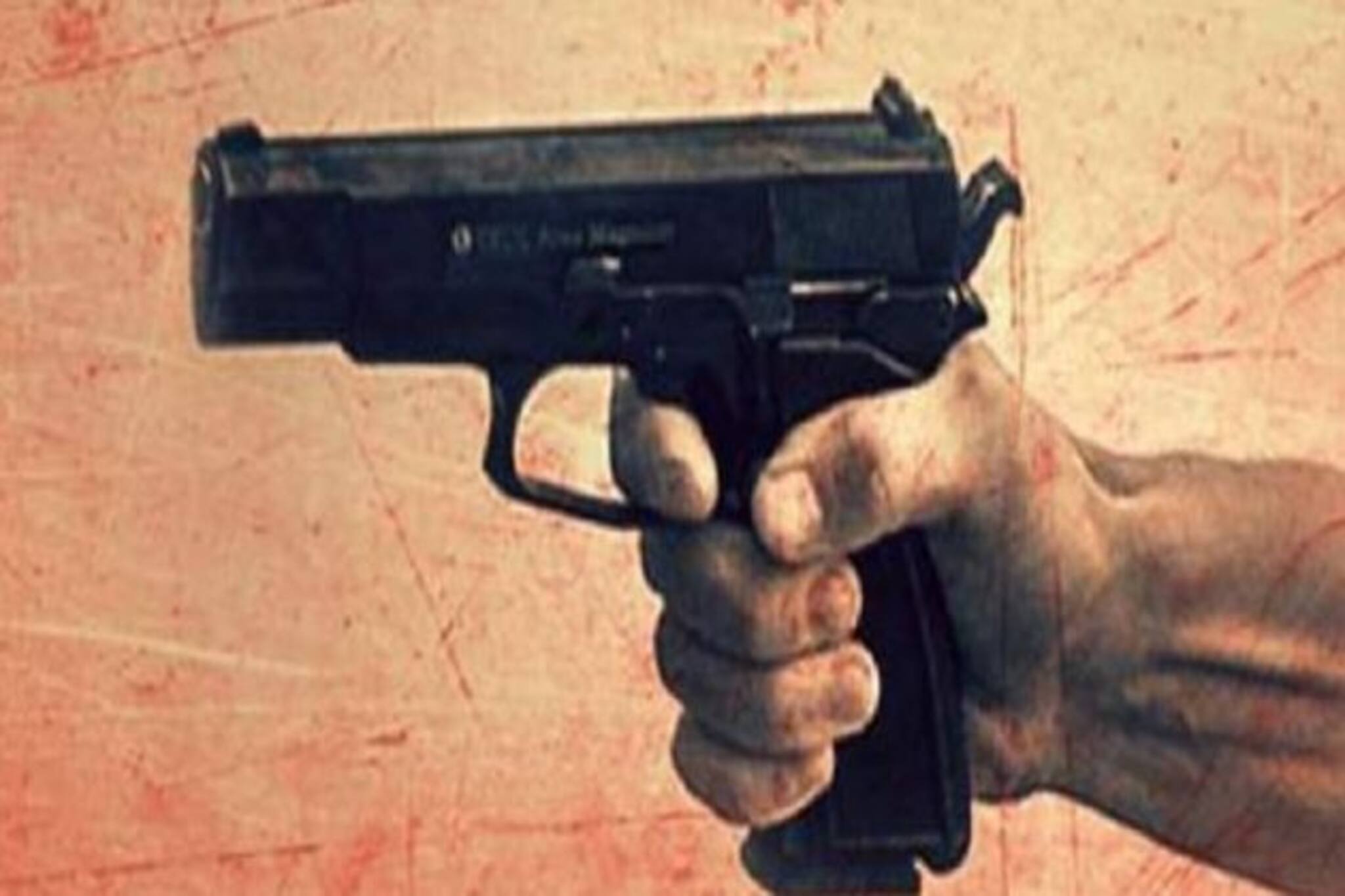 চাকদহে লটারি ব্যবসায়ীকে গুলি করে খুন, উদ্ধার পিস্তল, আটক ২