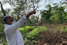 শুধু রাজনীতি নয় পরিবেশ পিচেও 'পাওয়ার হিটার' দিলীপ ঘোষ