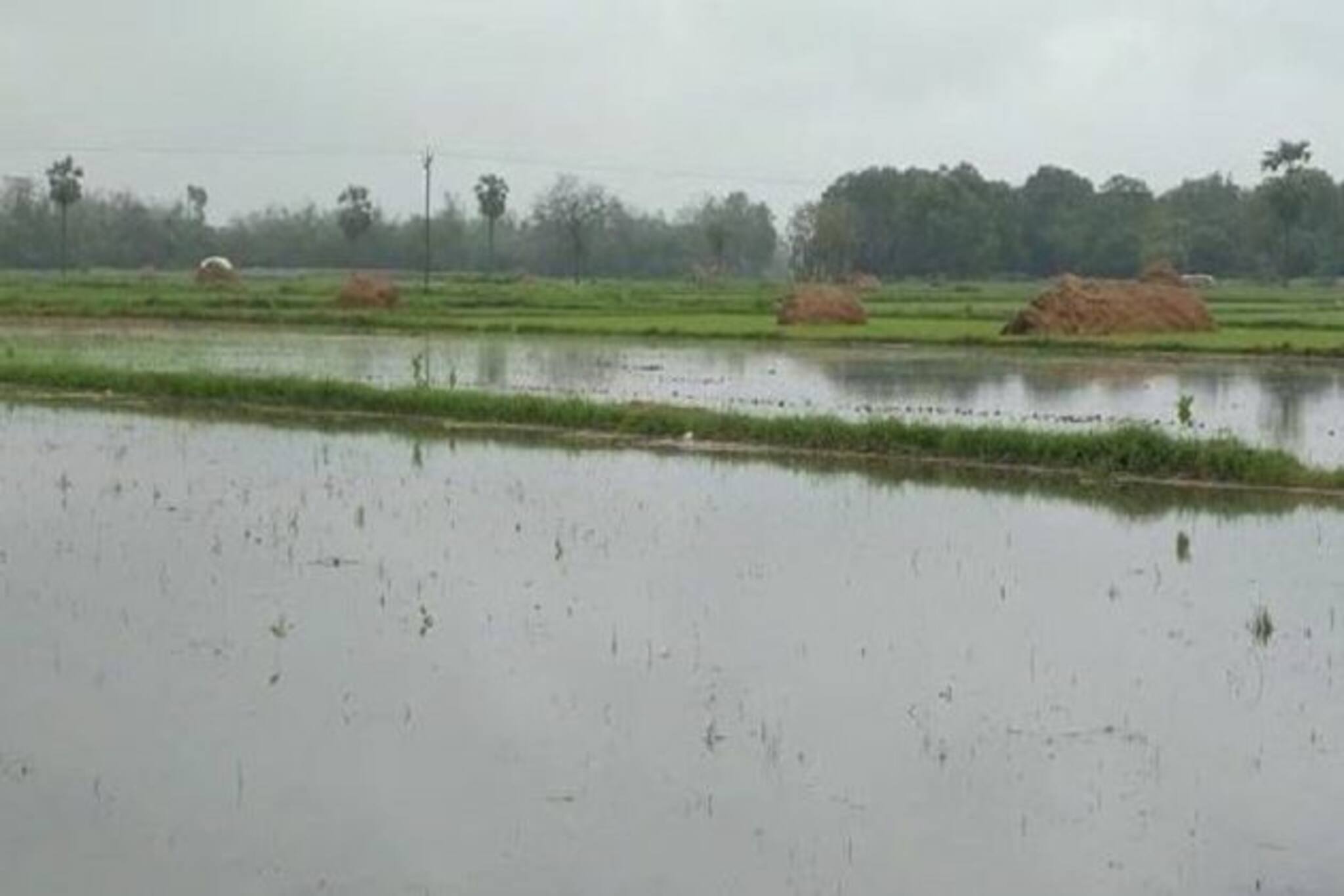 আমফানের ক্ষয়ক্ষতি দেখতে রাজ্যে আসছে কেন্দ্রীয় প্রতিনিধি দল  