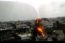 বাজ পড়ে দেশলাইকাঠির মতো জ্বলে উঠল নারকেল গাছ ! ‘নিসর্গ’ জানিয়েছিল সে আসছে...