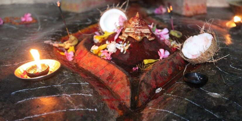 • ঋতুস্রাবের পর প্রতিটি নারীই যেমন, সন্তান ধারণে সক্ষম হয়ে ওঠেন, তেমনই বর্ষার জল পেয়ে নতুন প্রাণের সৃষ্টি করে ধরিত্রীও ৷ সবুজে সবুজ হয়ে ওঠে আমাদের চারপাশ ৷ মাঠ ভরে ওঠে ফসলে ৷ 