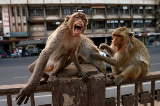 প্রতীকী ছবি. REUTERS/Soe Zeya
