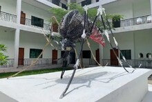 মশার লালা থেকে তৈরি ভ্যাকসিন, রুখবে পরবর্তী মহামারি, করোনাতেও কি করবে কাজ ?