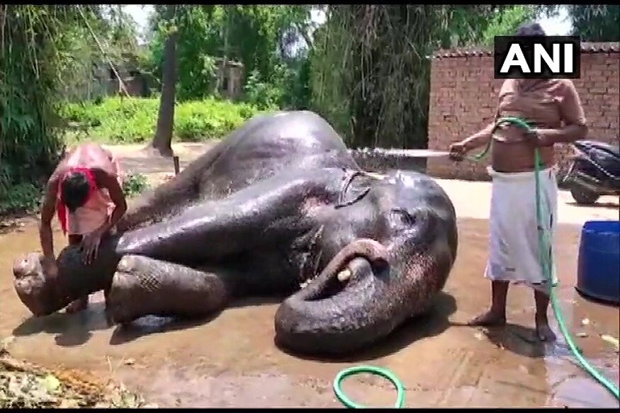 তাঁর কথায়, তাঁর কথায়,