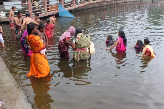 • বৃহস্পতিবার রাতে জেলা স্বাস্থ্য দফতর থেকে জানানো হয়েছে, তারকেশ্বর মন্দিরের পার্শবর্তী ভঞ্জিপুর/হাউলি/ধোল্যান গ্রামে কয়েক জনের করোনা আক্রান্ত হওয়ার খবর মিলেছে। এরপর রাতেই সিদ্ধান্ত নিয়ে তারকেশ্বর মন্দির বন্ধ রাখার নির্দেশ দিয়েছেন মোহন্ত মহারাজ। • বৃহস্পতিবার রাতে জেলা স্বাস্থ্য দফতর থেকে জানানো হয়েছে, তারকেশ্বর মন্দিরের পার্শবর্তী ভঞ্জিপুর/হাউলি/ধোল্যান গ্রামে কয়েক জনের করোনা আক্রান্ত হওয়ার খবর মিলেছে। এরপর রাতেই সিদ্ধান্ত নিয়ে তারকেশ্বর মন্দির বন্ধ রাখার নির্দেশ দিয়েছেন মোহন্ত মহারাজ।