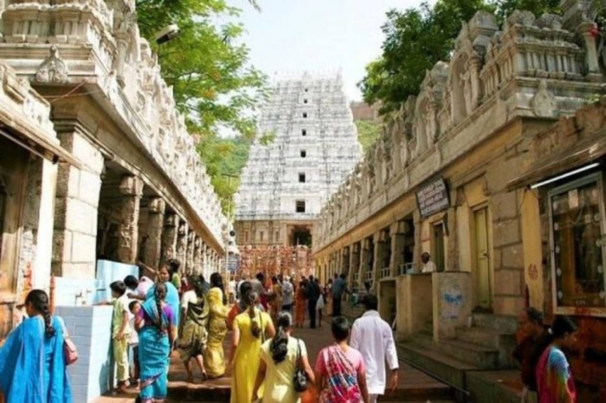 ৮৩ দিন পর ভক্তদের জন্য খুলল তিরুপতি মন্দির, ১ ঘণ্টাতেই শেষ প্রথম দিনের টিকিট