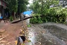 মুম্বইয়ের রাস্তায় পড়তে শুরু করল গাছ, চলছে নিসর্গ-র তাণ্ডব, দেখুন... মুম্বইয়ের রাস্তায় পড়তে শুরু করল গাছ, চলছে নিসর্গ-র তাণ্ডব, দেখুন...