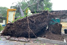 তাণ্ডব দেখাচ্ছে নিসর্গ সাইক্লোন, তাসের ঘরের মতো ভাঙছে গাছ, দেখুন ভিডিও তাণ্ডব দেখাচ্ছে নিসর্গ সাইক্লোন, তাসের ঘরের মতো ভাঙছে গাছ, দেখুন ভিডিও
