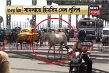 সাত সকালে হাওড়া ব্রিজে হুলস্থূল, ছোটাছুটি শুরু করল ঘোড়া! দেখুন ভিডিও