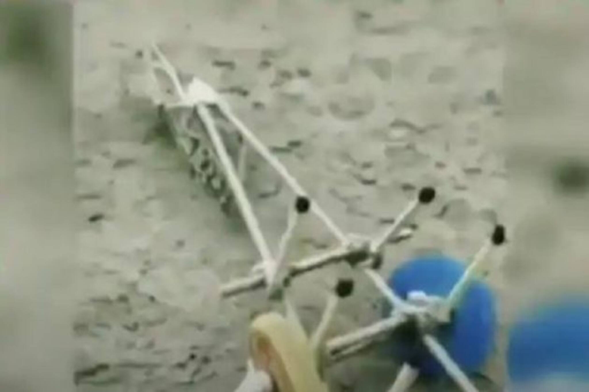 Viral| ক্ষেতে ঢুকে শস্য নষ্ট , পঙ্গপালের থেকে ‘এই’ পদ্ধতিতে বদলা, দেখুন ভিডিও