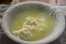 এক নয় শরীরের হাজার উপকারে ছানার অজানা অনেক গুণ