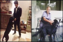 ছেলে আর ফিরবে না, সুশান্তের প্রিয় পোষ্য ফাজ-ই এখন সুশান্তের বাবার অবলম্বন