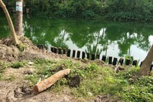 রাস্তার কাজে ঠিকাদার সংস্থার দুর্নীতি! আদিগঙ্গার পাড় থেকে সব শাল বল্গা তোলা শুরু