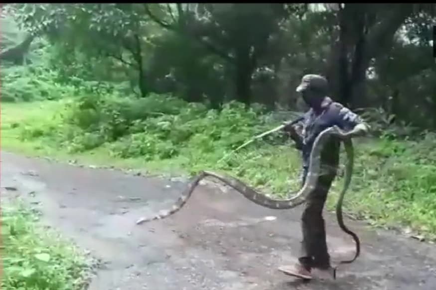 গ্রামের ভিতর ঘুরে বেড়াচ্ছিল এক বিশাল কিংকোবরা। এই সাপের নাম শুনলেই সকলে আতঙ্কিত হয়ে পড়ে। জঙ্গল থেকে বেড়িয়ে সোজা গ্রামে। ঘটতে পারত অঘটন।photo source ANI গ্রামের ভিতর ঘুরে বেড়াচ্ছিল এক বিশাল কিংকোবরা। এই সাপের নাম শুনলেই সকলে আতঙ্কিত হয়ে পড়ে। জঙ্গল থেকে বেড়িয়ে সোজা গ্রামে। ঘটতে পারত অঘটন।photo source ANI
