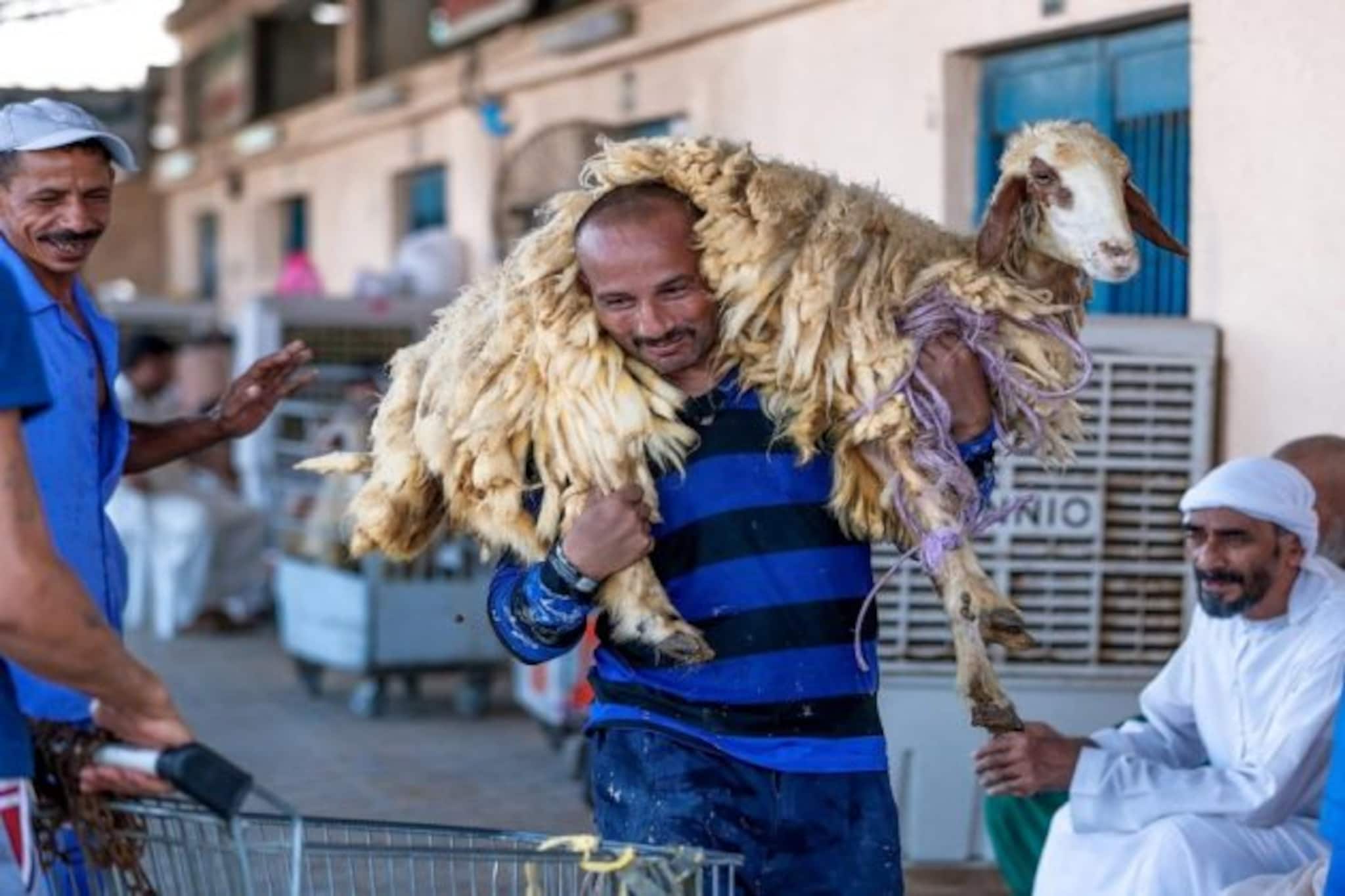 আগামিকাল ইদ-উল-আদাহ, জেনে নিন এর সময় ও তাৎপর্য