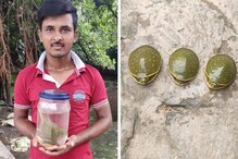 ট্রাক্টর দিয়ে চাষ করার সময় উঠে এল ৩টি কচ্ছপের বাচ্চা, বনদফতরে নিয়ে গেলেন যুবক ট্রাক্টর দিয়ে চাষ করার সময় উঠে এল ৩টি কচ্ছপের বাচ্চা, বনদফতরে নিয়ে গেলেন যুবক