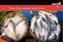 দিঘায় উঠল মরশুমের প্রথম ইলিশ, রুপোলি শস্যের আমদানিতে বাঙালির জিভে জল দিঘায় উঠল মরশুমের প্রথম ইলিশ, রুপোলি শস্যের আমদানিতে বাঙালির জিভে জল