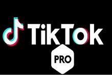 হ্যাকারদের অস্ত্র ‘Tiktok Pro’, ভুয়ো অ্যাপ ডাউনলোড করলেই বিপদ, নিমেষে তথ্য চুরি! হ্যাকারদের অস্ত্র ‘Tiktok Pro’, ভুয়ো অ্যাপ ডাউনলোড করলেই বিপদ, নিমেষে তথ্য চুরি!