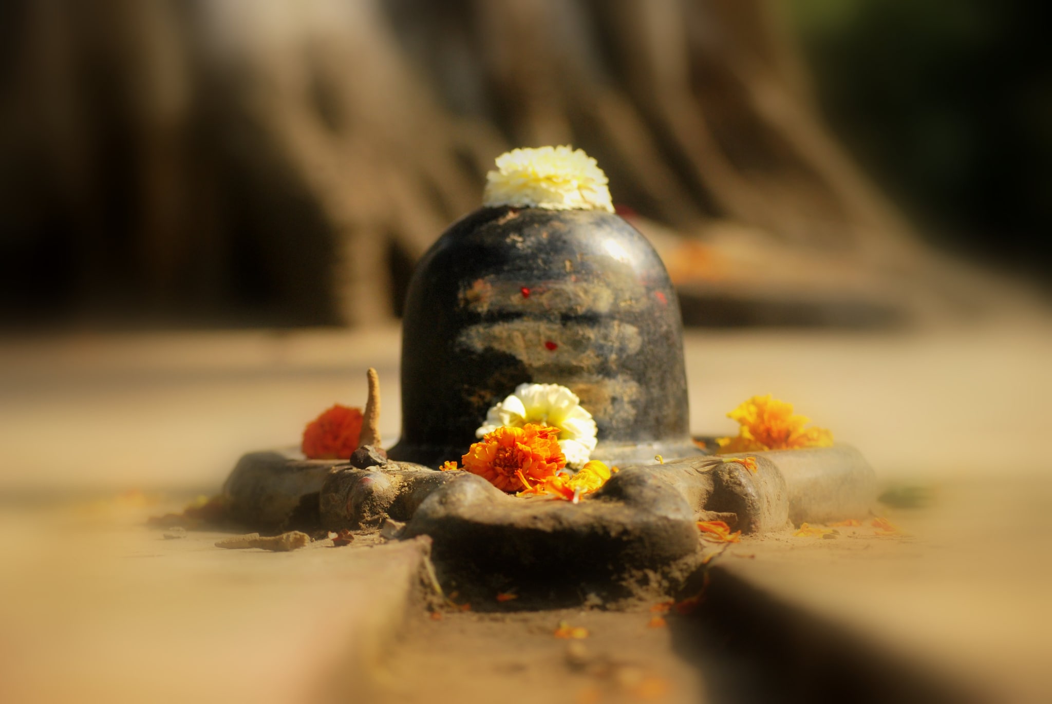 • শাক-সবজি খাবেন না- শিব ঠাকুরের পুজো করার সময় একমনে দেবের আরাধনা করা উচিত। তাই সবুজ শাক-সবজি খাবেন না। কারণ, এই ধরনের খাবার খেলে শরীরে পিত্ত তৈরি হয় এবং মন স্থির থাকে না। আর বিচলিত মনে ভুলেও মহাদেবের পুজো করবেন না । • শাক-সবজি খাবেন না- শিব ঠাকুরের পুজো করার সময় একমনে দেবের আরাধনা করা উচিত। তাই সবুজ শাক-সবজি খাবেন না। কারণ, এই ধরনের খাবার খেলে শরীরে পিত্ত তৈরি হয় এবং মন স্থির থাকে না। আর বিচলিত মনে ভুলেও মহাদেবের পুজো করবেন না ।