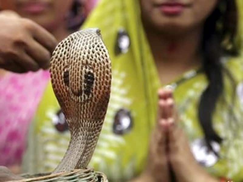শ্রাবণ মাসের শুক্ল পঞ্চমী তিথি নাগ অর্থাৎ সাপদের পুজো শুরু হল কিভাবে? উত্তর জানতে আমাদের উল্টাতে হবে মহাকাব্যের পাতা, ঘাঁটতে হবে পুরাণ ৷ তবে প্রচলিত হিন্দু বিশ্বাস বলে, ঋণ মুক্ত হতে ও স্বাস্থ্য ক্ষেত্রে সুফল পেতে অথবা কোনও শাপ কাটাতে নাগদেবতার আরাধনা করা হয় ৷ শ্রাবণ মাসের শুক্ল পঞ্চমী তিথি নাগ অর্থাৎ সাপদের পুজো শুরু হল কিভাবে? উত্তর জানতে আমাদের উল্টাতে হবে মহাকাব্যের পাতা, ঘাঁটতে হবে পুরাণ ৷ তবে প্রচলিত হিন্দু বিশ্বাস বলে, ঋণ মুক্ত হতে ও স্বাস্থ্য ক্ষেত্রে সুফল পেতে অথবা কোনও শাপ কাটাতে নাগদেবতার আরাধনা করা হয় ৷