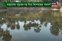 প্রচণ্ড গরমে পুকুরের জল কমে গেলে মাছদের পরিচর্যা কীভাবে করবেন? প্রচণ্ড গরমে পুকুরের জল কমে গেলে মাছদের পরিচর্যা কীভাবে করবেন?