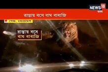 রাতের অন্ধকারে জাতীয় সড়কে বসে বাঘ বাবাজি ! থমকে গেল যান চলাচল রাতের অন্ধকারে জাতীয় সড়কে বসে বাঘ বাবাজি ! থমকে গেল যান চলাচল