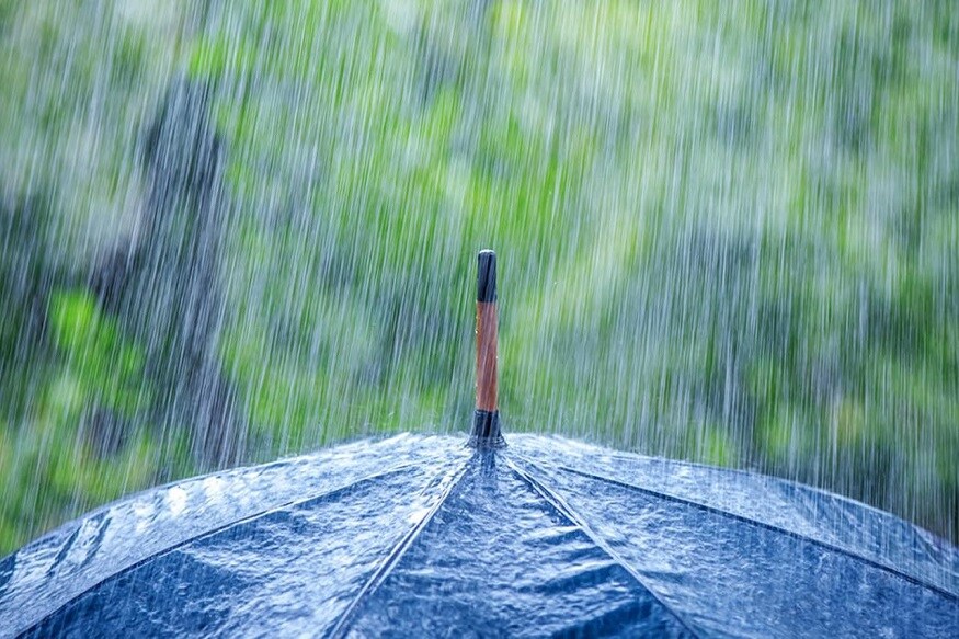 কলকাতায় আজ সকালে সর্বনিম্ন তাপমাত্রা ছিল ২৫.৭ ডিগ্রি সেলসিয়াস। যা স্বাভাবিকের থেকে ১ ডিগ্রি সেলসিয়াস নীচে। মঙ্গলবার বিকেলে সর্বোচ্চ তাপমাত্রা ছিল ৩৪.৫ ডিগ্রি সেলসিয়াস। যা স্বাভাবিকের থেকে ২ ডিগ্রি সেলসিয়াস ওপরে। বাতাসে আপেক্ষিক আর্দ্রতার পরিমাণ ৭৩ থেকে ৯৮ শতাংশ। গত ২৪ ঘণ্টায় কলকাতার আলিপুরে বৃষ্টি হয়েছে ৩৮.৮ মিলিমিটার। কলকাতায় আজ সকালে সর্বনিম্ন তাপমাত্রা ছিল ২৫.৭ ডিগ্রি সেলসিয়াস। যা স্বাভাবিকের থেকে ১ ডিগ্রি সেলসিয়াস নীচে। মঙ্গলবার বিকেলে সর্বোচ্চ তাপমাত্রা ছিল ৩৪.৫ ডিগ্রি সেলসিয়াস। যা স্বাভাবিকের থেকে ২ ডিগ্রি সেলসিয়াস ওপরে। বাতাসে আপেক্ষিক আর্দ্রতার পরিমাণ ৭৩ থেকে ৯৮ শতাংশ। গত ২৪ ঘণ্টায় কলকাতার আলিপুরে বৃষ্টি হয়েছে ৩৮.৮ মিলিমিটার।