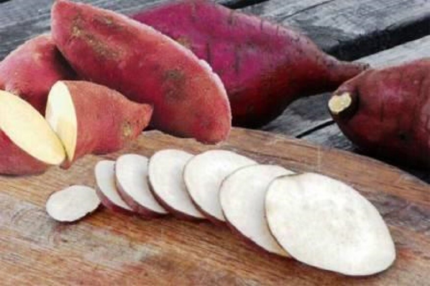 রাঙা আলু ব্লাড সুগার নিয়ন্ত্রণে রাখে ৷ রাঙা আলুর স্বাদ মিষ্টি হলেও রক্তে শর্করার মাত্রা কমাতে এই সবজির কোনও বিকল্প নেই ৷ রক্তে শর্করার মাত্রা নিয়ন্ত্রিতও করে রাঙা আলু ৷ প্রতীকী ছবি ৷ রাঙা আলু ব্লাড সুগার নিয়ন্ত্রণে রাখে ৷ রাঙা আলুর স্বাদ মিষ্টি হলেও রক্তে শর্করার মাত্রা কমাতে এই সবজির কোনও বিকল্প নেই ৷ রক্তে শর্করার মাত্রা নিয়ন্ত্রিতও করে রাঙা আলু ৷ প্রতীকী ছবি ৷