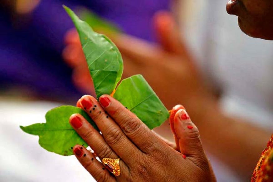 • সোমবার শিব পুজো। জেনে-নিন এই দিন বেলপাতাকে কিভাবে ব্যবহার করবেন। বেলপাতা যে দেবাদিদেবের সবচেয়ে পছন্দের তা সকলেই জানেন । বেলপাতা ছাড়া শিব পুজো হয় না। • সোমবার শিব পুজো। জেনে-নিন এই দিন বেলপাতাকে কিভাবে ব্যবহার করবেন। বেলপাতা যে দেবাদিদেবের সবচেয়ে পছন্দের তা সকলেই জানেন । বেলপাতা ছাড়া শিব পুজো হয় না।