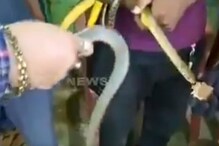 ভাইরাল ভিডিও: কেক কেটে বিষধর সাপদের খাওয়ানো হচ্ছে! ট্যুইটারে নিন্দার ঝড় ভাইরাল ভিডিও: কেক কেটে বিষধর সাপদের খাওয়ানো হচ্ছে! ট্যুইটারে নিন্দার ঝড়