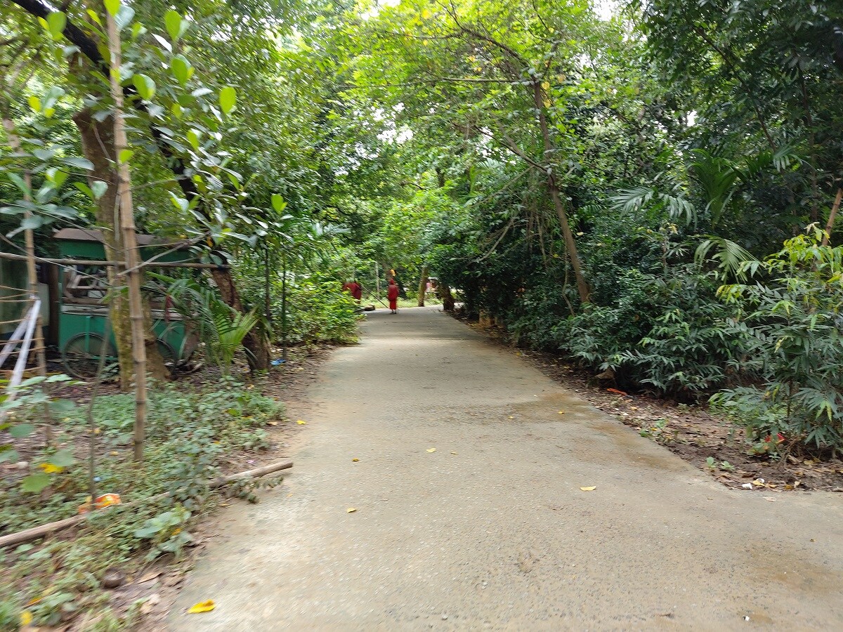রাস্তায় যাত্রীবাহী বাস অটো টোটোর সারি সারি লাইন।দোকানগুলোর দিকে চক্ষু নিক্ষেপ করলেই দেখতে পেতাম ফুল ফল এবং ক্ষীরের তৈরি পুজোর মিষ্টান্নের পসরা কোথাও বা যজ্ঞের জন্য দোকানে সাজানো গাদা গাদা কাঠ,বেলপাতা সহ নানান উপকরণ।অলিতে গলিতে গজিয়ে উঠে অস্থায়ী খাবারের হোটেল কোথাও বা নানান স্বাদের তেলেভাজার দোকান।কিন্তু এই বছর সেই প্রথাতে ছেদ পড়েছে পুরো তারাপীঠ মন্দির সহ পুরো এলাকা খাঁ খাঁ করছে। ছবি ও তথ্য-AKSHOY DHIBAR রাস্তায় যাত্রীবাহী বাস অটো টোটোর সারি সারি লাইন।দোকানগুলোর দিকে চক্ষু নিক্ষেপ করলেই দেখতে পেতাম ফুল ফল এবং ক্ষীরের তৈরি পুজোর মিষ্টান্নের পসরা কোথাও বা যজ্ঞের জন্য দোকানে সাজানো গাদা গাদা কাঠ,বেলপাতা সহ নানান উপকরণ।অলিতে গলিতে গজিয়ে উঠে অস্থায়ী খাবারের হোটেল কোথাও বা নানান স্বাদের তেলেভাজার দোকান।কিন্তু এই বছর সেই প্রথাতে ছেদ পড়েছে পুরো তারাপীঠ মন্দির সহ পুরো এলাকা খাঁ খাঁ করছে। ছবি ও তথ্য-AKSHOY DHIBAR