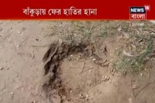 বাঁকুড়ার দুটি গ্রামে ফের হাতির হানা বাঁকুড়ার দুটি গ্রামে ফের হাতির হানা